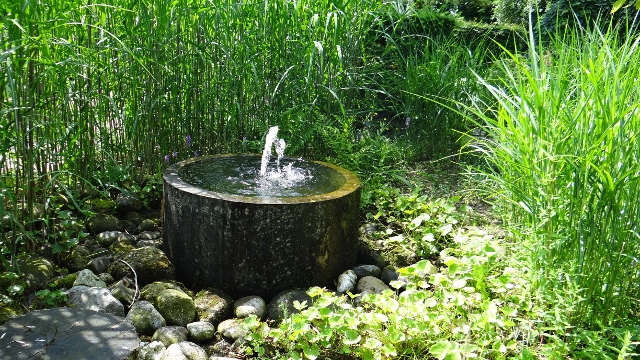 Sandy Verbetering Habubu Waterornamenten - Hoveniersbedrijf Jonkers